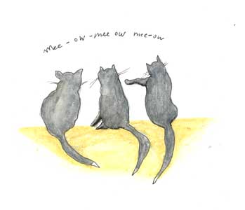 the-three-kittens